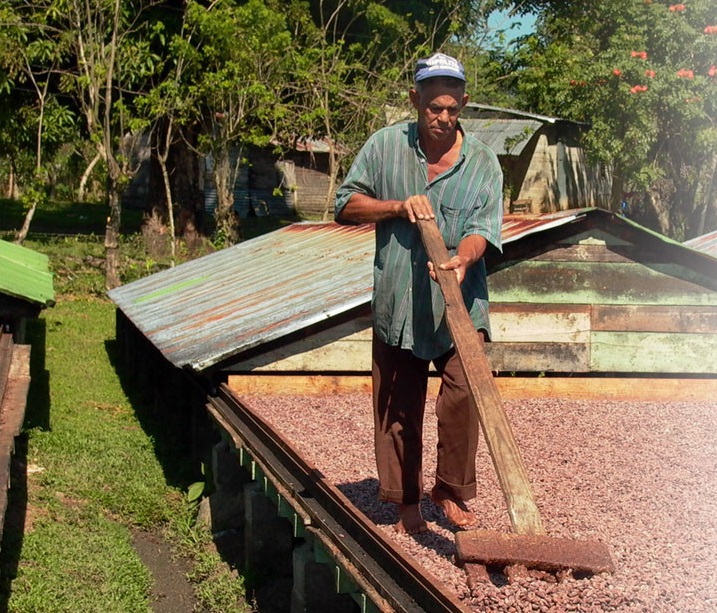 Conacado Faire Kooperative Fairer Kakao zug